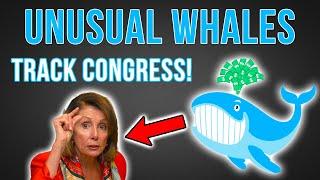 Unusual Whales Politics Tutorial | How To Track Congress Trades!