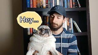 Joining the booktube community! Newbie tag - My favorite books of all time!