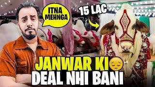 Meri deal Aakhri Waqt Pe Cancel! Zulqarnain Ne janwar ly liya 