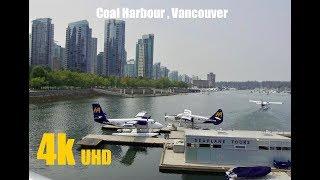 Coal Harbour Vancouver (walking tour) BC in 4K