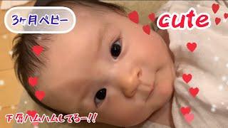 下唇ハムハム【3ヵ月ベビー】Baby humming his lower lip