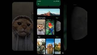 How to change your wallpaper and theme on Android phone.#facts #technology #science #programming