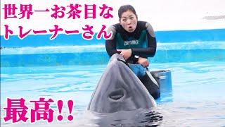 鴨川シーワールドの世界一お茶目なトレーナさん最高!! シャチショー KamogawaSeaWorld  orca killerwhale