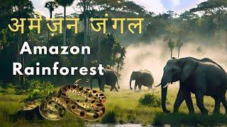 Amazon Rainforest - Dangerous Animals of Amazon Jungle | अमेज़न जंगल