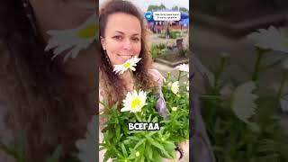 Сейчас через день на рынок мотаемся продаем урожай #огород #дача #garden #урожай