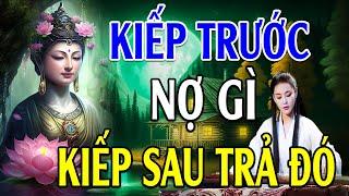 Kiếp Trước Nợ Gì Kiếp Này Trả Đó...Nhân Quả Báo Ứng Không Trừ 1 Ai l Rất Hay