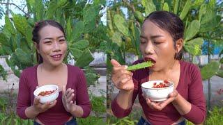 Primitive TV, Eating Flower Pedro cactus with chili salt /​ ញ៉ាំផ្កាដំបងយក្សជាមួយអំបិលម្ទេស