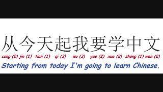 How to say STARTING FROM TODAY I'M GOING TO LEARN CHINESE in Chinese