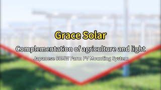 How Will Grace Solar's 40MW Leap & 17 Years' Expertise Shape Japan's Climate Innovations in 2025?