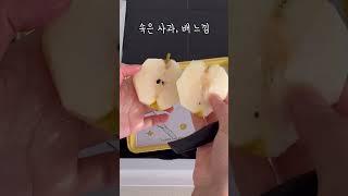 호주에서 처음 본 특이한 과일 papple