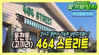 애견동반카페~ "464 스트리트" - 동천동(고기리)에 있는 1년도 되지 않은 아늑한 공간~!