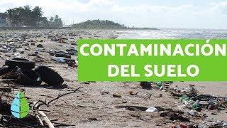 CONTAMINACIÓN DEL SUELO - Causas, consecuencias y SOLUCIONES