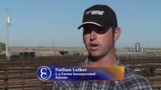 NCBA's Cattlemen to Cattlemen – June 6, 2017