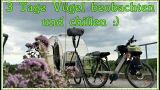 3 Tage Birding mit Fahrradwohnwagen