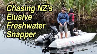 Chasing NZ's Rare Freshwater Snapper! The Best-Kept Fishing Secret!