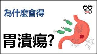 為什麼會得胃潰瘍?|如何預防?|壞壞疾病為什麼系列