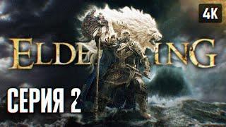 ЭЛДЕН РИНГ ПРОХОЖДЕНИЕ НА РУССКОМ 4K #2  ПОДГОТОВКА К DLC ELDEN RING SHADOW OF THE ERDTREE ОБЗОР