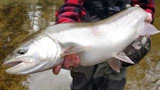 FLOAT FISHING GIANT STEELHEAD - CENTERPIN