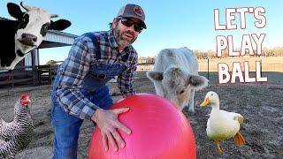 Farmer Jason Plays Ball with The Farm Animals!