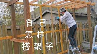 自己设计爬藤架 一个人怎样给爬藤的瓜类搭架子 How to set up a shelf for climbing vines