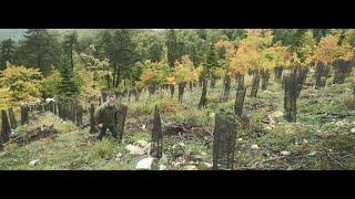 #ResponsibleForestry : EUSTAFOR  met en lumière les missions des forestiers européens