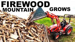 FIREWOOD OAK MOUNTAIN!