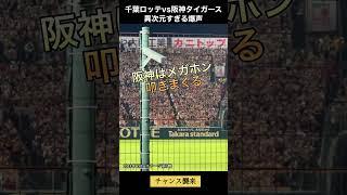 【異次元の声圧】反則級の爆声対決！阪神タイガースと千葉ロッテマリーンズどっちの応援が好き？ #プロ野球 #応援 #球団歌 #浦和レッズ #野球 #日本シリーズ