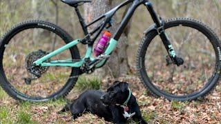 Otis Airforce Base MTB Trails + Stumpjumper Evo + Trail Pup = A good afternoon!