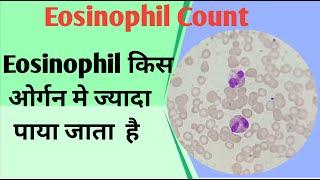 where found eosinophil