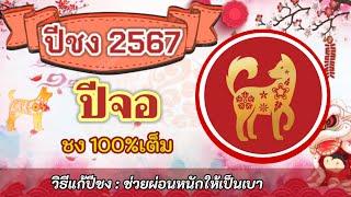 ปีชง2567 ปีจอ ชง100%เต็ม และวิธีแก้ปีชงช่วยผ่อนหนักให้เป็นเบา