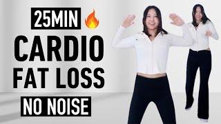 25 Min DIET DANCE WORKOUT, fat burning cardio aerobics! to lose weight