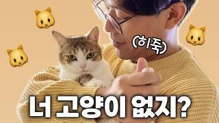 고양이 안 키워본 사람은 절대 모르는 것