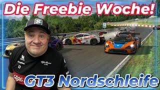 iRacing - Mit einer high SoF Woche starten wir in die Saison 1/2025 auf der Nordschleife!