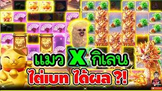 แมวxกิเลน ซื้อสปินชุดใหญ่ !!!│Lucky Neko  Slot PG