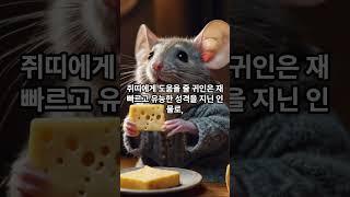 2025년 귀인을 만날 가능성이 높은 띠 세 가지