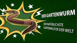 Gartenwürmer - ein hervorragender Bodenverbesserer!