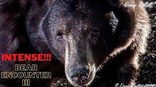 INTENSE BEAR ENCOUNTER IN ANGELES NATIONAL FOREST