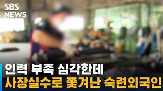 인력 부족 심각한데 쫓겨난 숙련 외국인…사장 실수였다 / SBS