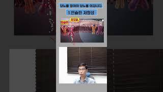 인슐린저항성 이해하기