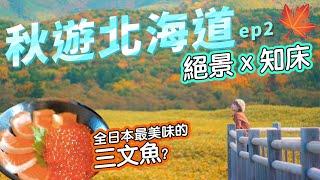 Hokkaido in Autumn ep2What you should do and eat in Shiretoko
