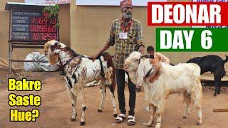 Deonar Day 6 | Barish ka Mausam | Mandi ki Sair | Bakro Ke Rates | Unloading | Full Update