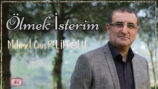 Mehmet Can PELİKOĞLU - Ölmek İsterim [Resmi Video] 2024 #MehmetCanPELİKOĞLU