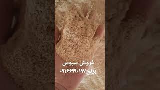 سبوس برنج در تناژ بالا