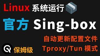 Linux环境下运行官方SingBox，轻松配置喂饭视频，支持所有设备！