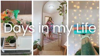 PROUD POPPY PLUS SIZE TRY ON HAUL, NEW PLANTS, NEW BOOKS, DAY IN MY LIFE VLOG | STEPH MADDOXX