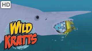 Wild Kratts  Sharks in the Water (Part 2/2)  Shark Week | Kids Videos