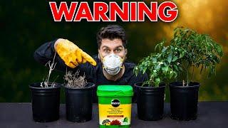 I Tested overfertilizing my plants and NEVER thought this would happen!