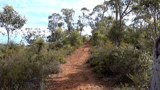 Australian Bushwalk - Australian Bushwalking Sounds (Binaural Sound)