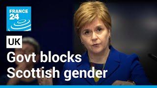 UK government blocks Scotland's gender recognition bill • FRANCE 24 English