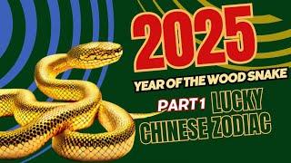 CHINESE ZODIAC 2025 - Year of the Wood Snake Predictions #2025horoscope